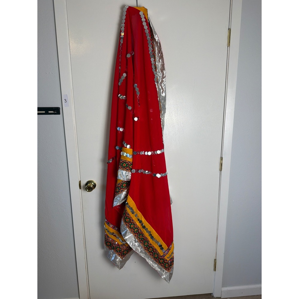 Red Dupatta Scarf Silver Mirror Sequin Trim Embroidered Border South Asian Shawl